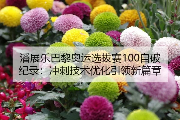 pan-zhan-le-ba-li-ao-yun-xuan-ba-sai-zi-po-ji-lu-chong-ci-ji-shu-you-hua-yin-ling-xin-pian-zhang-1-352.jpg