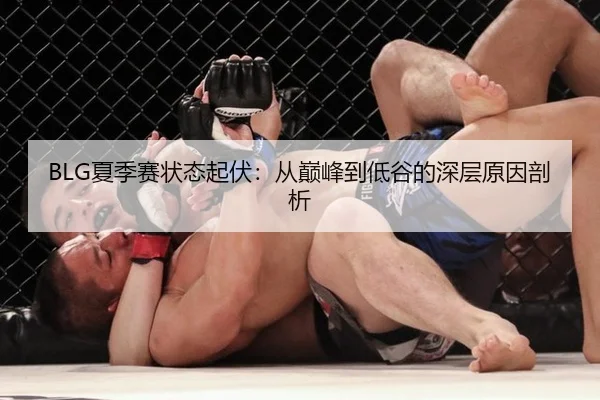 BLG夏季赛状态起伏：从巅峰到低谷的深层原因剖析