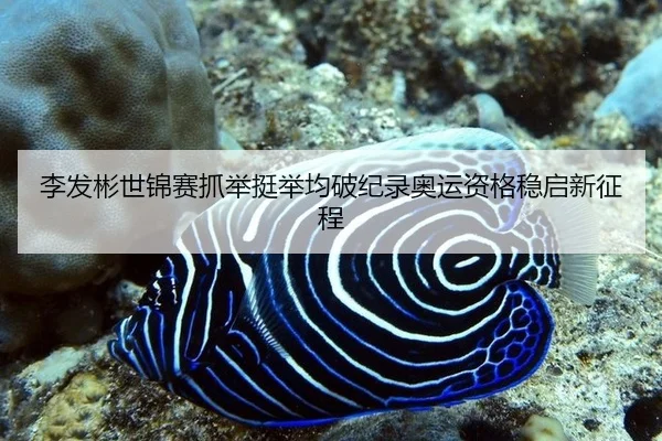 li-fa-bin-shi-jin-sai-zhua-ju-ting-ju-jun-po-ji-lu-ao-yun-zi-ge-wen-qi-xin-zheng-cheng-3-109.jpg