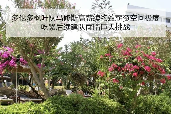 多伦多枫叶队马修斯高薪续约致薪资空间极度吃紧后续建队面临巨大挑战